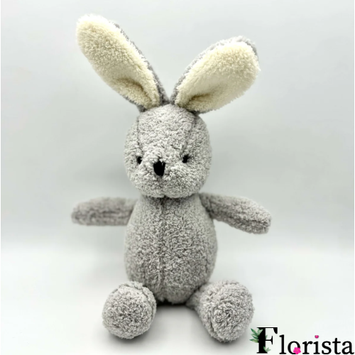 RABBIT NOAH