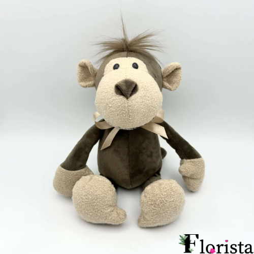 CUTE MONKEY
