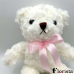 BEAR BARBARA