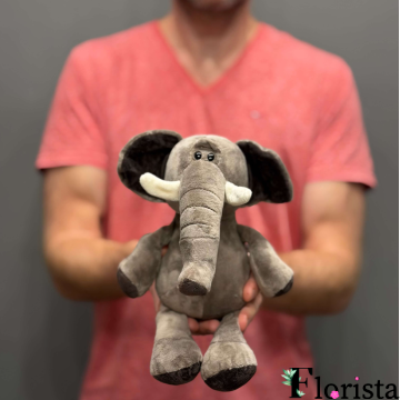 CUTE ELEPHANT