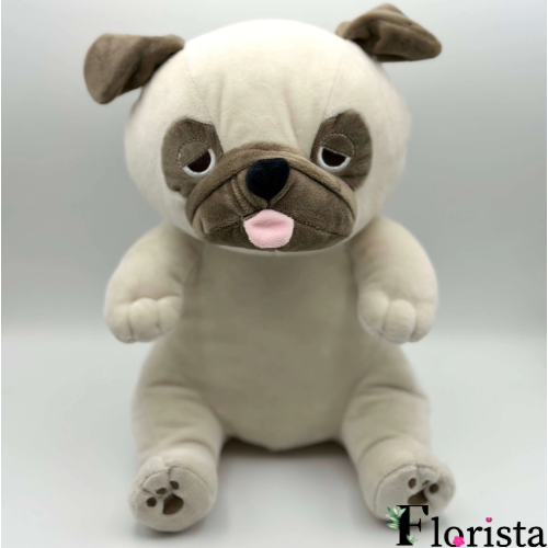 PUG DOG