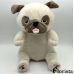 PUG DOG
