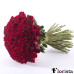 Amore rote Rosen Grand 101 Stück