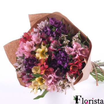 Amore барвиста альстромерія