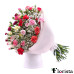 Mini-Nelken in zarten Farben