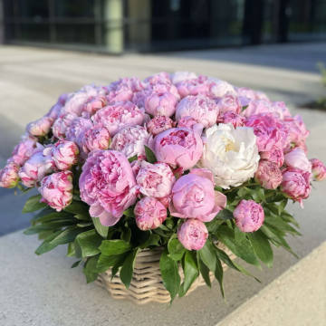 Корзина с пионами