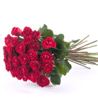 Червоні троянди Amore 25 штук