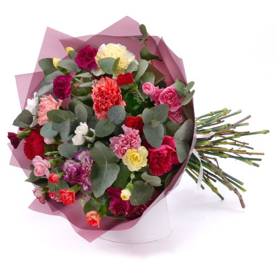 Sweet colored carnations
