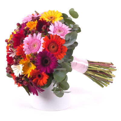 Perlenfarbene Mini-Gerbera