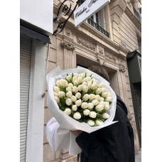 Paris, Frankreich – ein Strauß mit 51 weißen Tulpen. Paris, Frankreich – ein Strauß mit 51 weißen Tulpen.