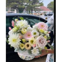 Budva, Montenegro - Kollektiver Blumenstrauß Budva, Montenegro - Kollektiver Blumenstrauß