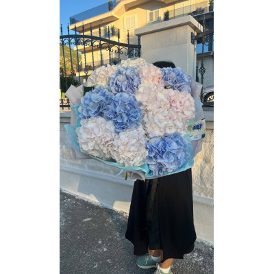 Тіват, Чорногорія - Букет з 13 гортензій