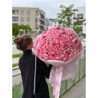 Варшава, Польща - 101 півонія