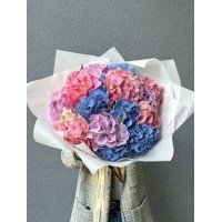 Букет гортензій - Берлін