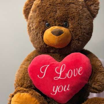 BIG BROWN BEAR