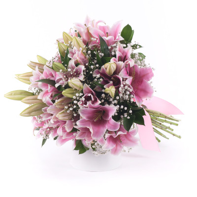 Delicate pink lilies