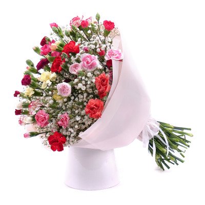Mini carnations of delicate color