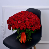 101 roses - Top notch 101 roses - Top notch