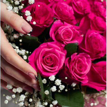 Рожеві троянди з гіпсофілою - троянди преміум класу