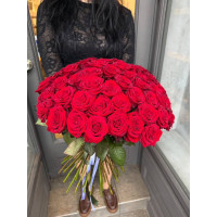 Wien, Österreich - 51 rote Rosen