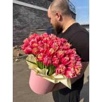 Kyiv, Ukraine - 51 tulips in a box