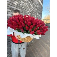 Kyiv, Ukraine - Basket of 201 tulips