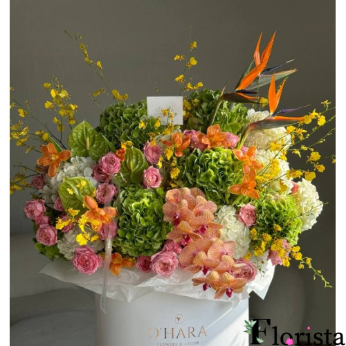 Bouquet of flowers Tropical garden in a box