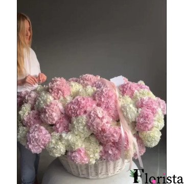 A basket of white and pink clouds