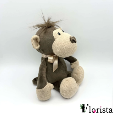 CUTE MONKEY