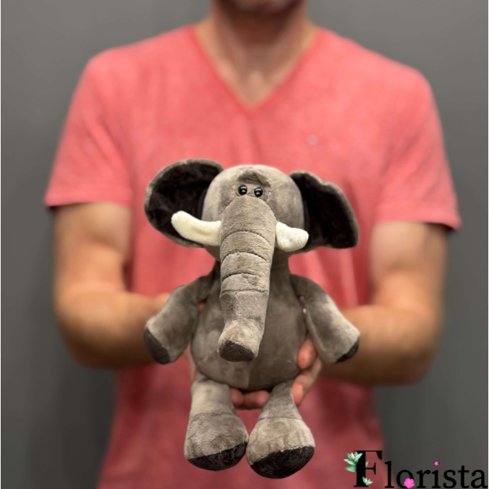 CUTE ELEPHANT