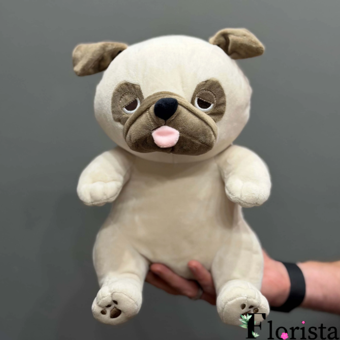 PUG DOG