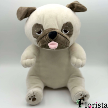 PUG DOG
