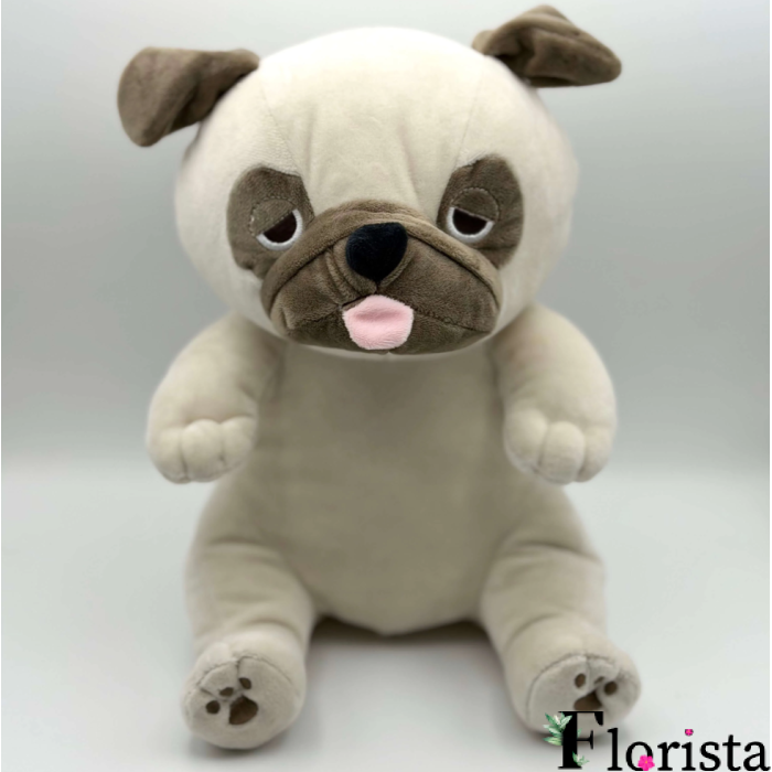PUG DOG
