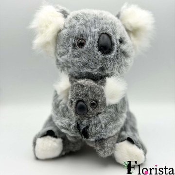 COALA MAMA