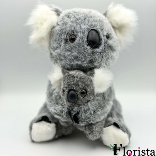 COALA MAMA