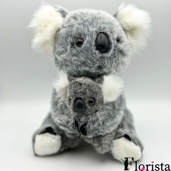COALA MAMA