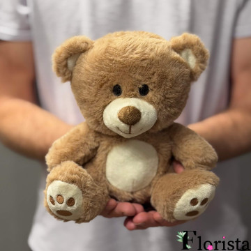 BEAR MINI