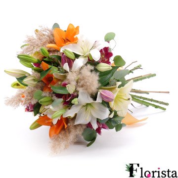 Люблю барвисті лілії