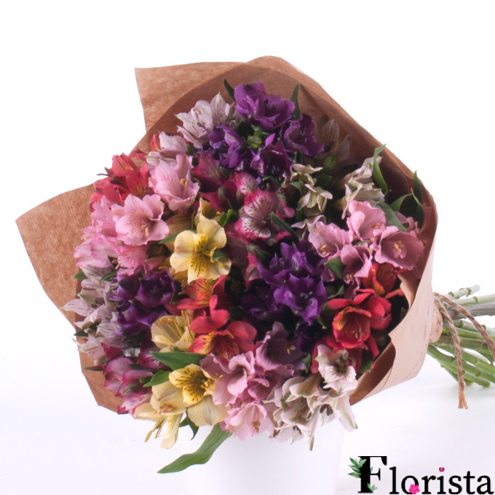 Amore colorful alstroemeria