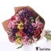 Amore colorful alstroemeria