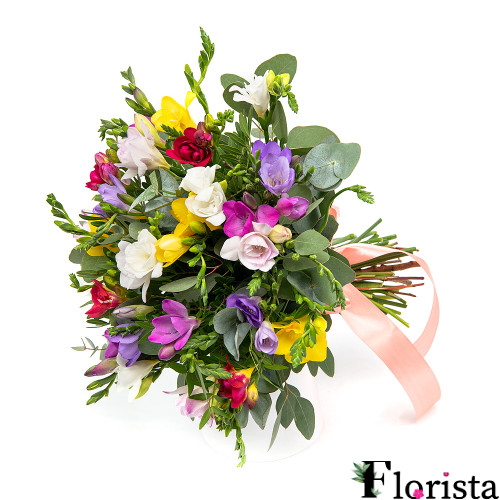 Elite colored freesias