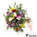 Elite colored freesias