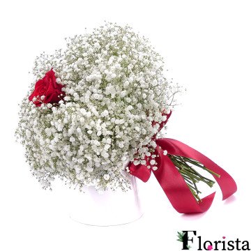 Bouquet of gypsophila and red roses
