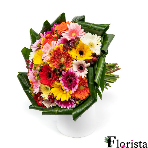 Passion-colored mini gerberas