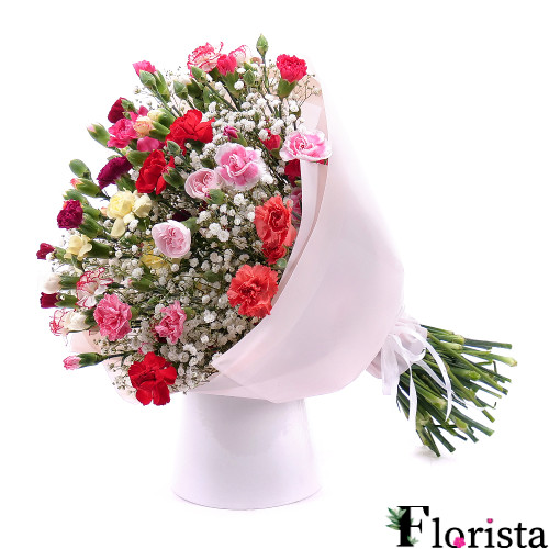 Mini carnations of delicate color