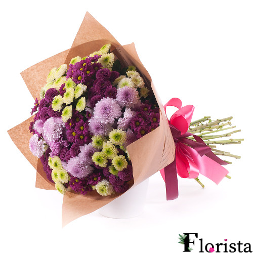 Zarte bunte Chrysanthemen Santina
