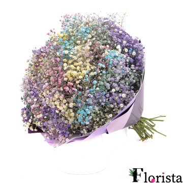 Colorful bouquet of gypsophila