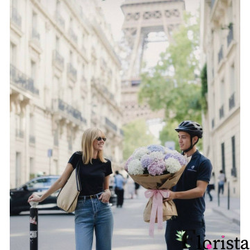 Париж, Франція - Букет з 9 різнокольорових гортензій