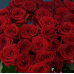 41 червоних троянд (60см-70см)