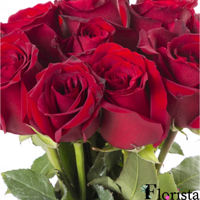 9 червоних троянд (60см-70см)